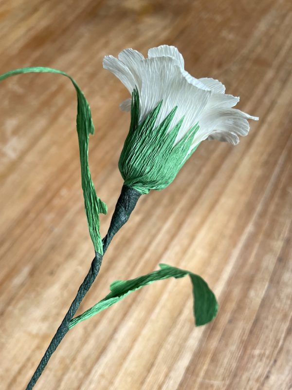 Marguerite – Image 6