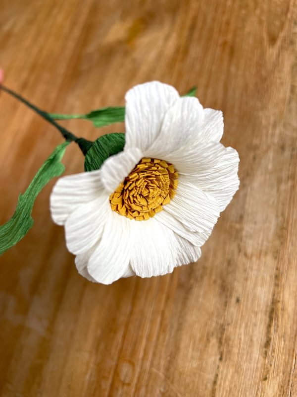 Marguerite – Image 4