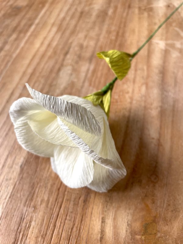 Grande Fleur blanche – Image 6