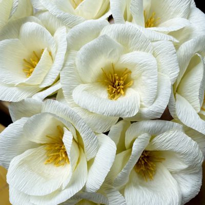 Grande Fleur blanche