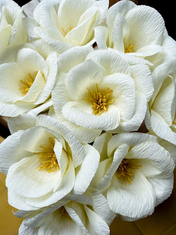Grande Fleur blanche