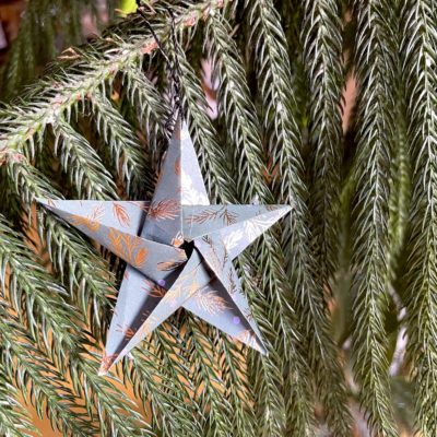 Étoile à suspendre 1