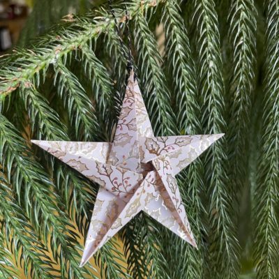 Étoile à suspendre 14