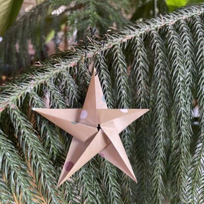 Étoile à suspendre 4