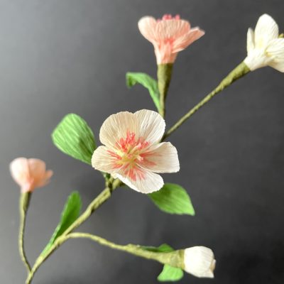 Tige de Fleurs de "cerisier" Rose et blanche